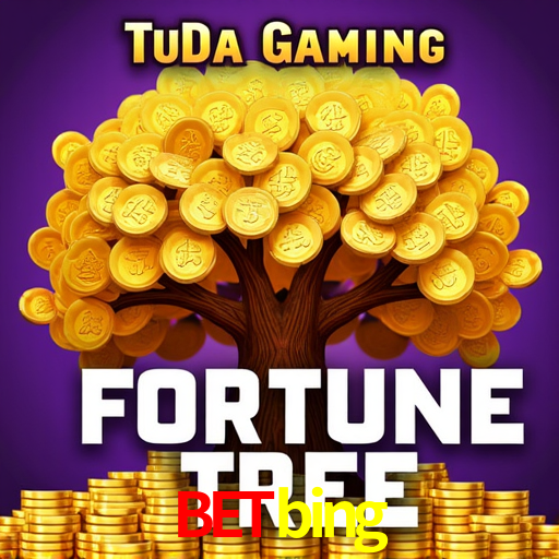 Experiência VIP betbing